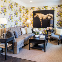 Living Room Ideas