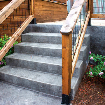 Tabor Modern Backyard