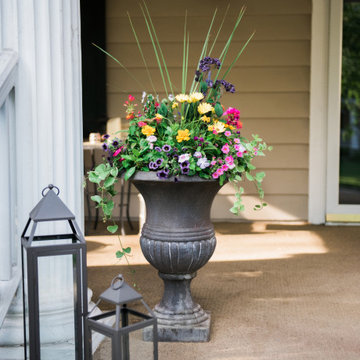 Summer Containers
