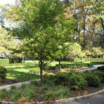 French-inspired Boxwood Parterre Garden