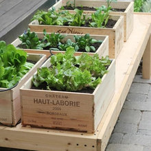 gardening ideas