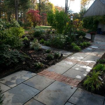 Subtle Beauty---The late Autumn garden