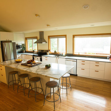 IKEA Kitchen Remodel to Frame Mountain View