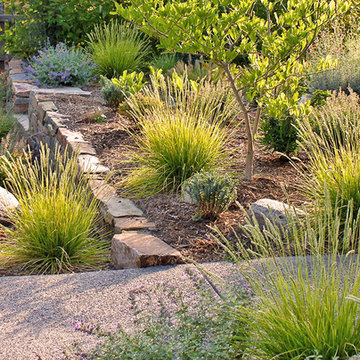 Low Maintenance Yard