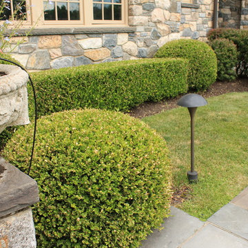 Landscape Design