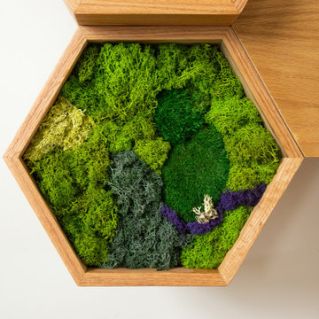 Moss Wall Art