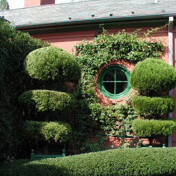 Climbing roses soften the formality of this space