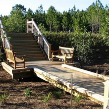 wood фото - naturebridges.com