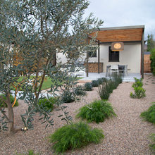 walkway and drive way