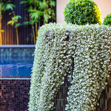 South Melbourne Project