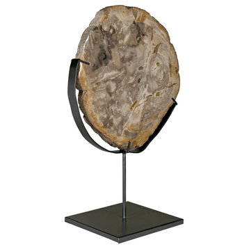 Wood Fossil with Stand, 12"
