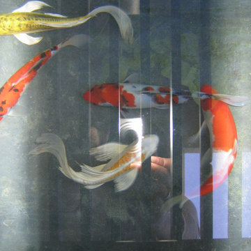 Koi channel pond