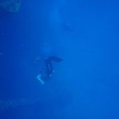 Foto von Cayman Elston