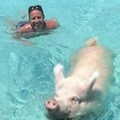 Jen Madden's photo