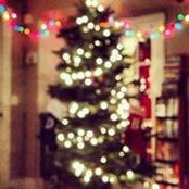 Brittany Dern's photo
