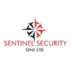 Sentinel Security One