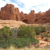 Clyde and Christine Rountree's photo