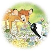 Amy Meinhardi's photo