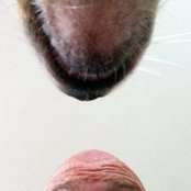 Matt Wulkanさんの写真