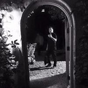 Anthony Morali's photo