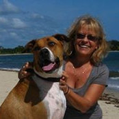Sandra Steele's photo