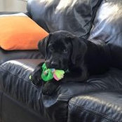 Martha Corcoran's photo