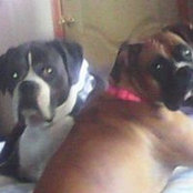 Foto von Sally Tucker