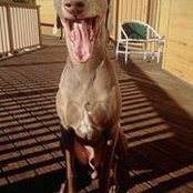 Scott Schiffman's photo