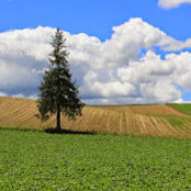 warren wong's photo