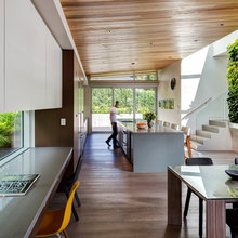 Living Wall