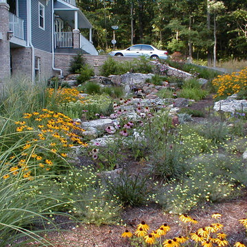 Entry Plantings with Stream