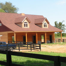 horses