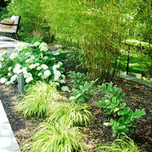 retaining wall plantings