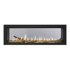Vector Direct Vent See Thru Gas Fireplace Package2 Transitional