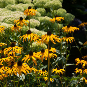 Seaside Garden in Westbrook,CT