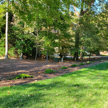 Planting and Grass