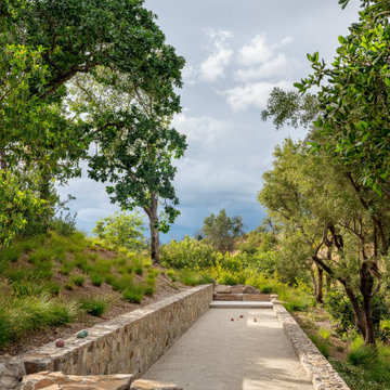 Fox Ridge