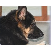 Terri Storr- Gherardi's photo