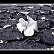 Nancy Hubrig's photo