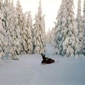 Beth Fuller's photo
