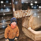 Shari Pea's photo