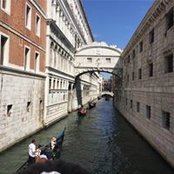 Sina Jafari's photo