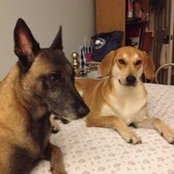 Judy Nides's photo