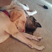 Patricia Carter-Opalewski's photo