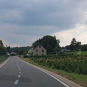 Foto von Leila Tu