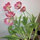 webuser_60064