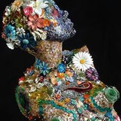 Judy Leeson Polstra's photo