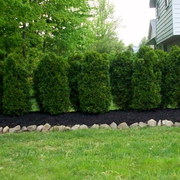 Katzmen Spring Clean-up and Reclamation