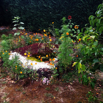 Potager et son bassin