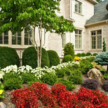 garden ideas color combos